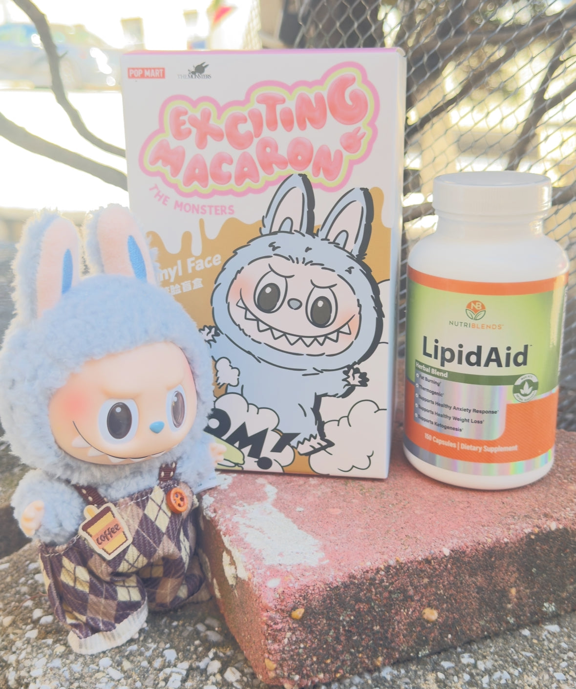 LipidAid with Exciting Macaron -Authentic Labubu PopMart Collection V1 - Blind Box